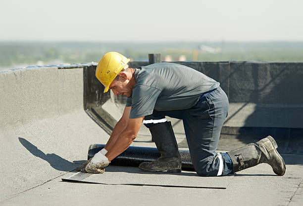 Best Eco-Friendly Insulation in Hillsboro, ND