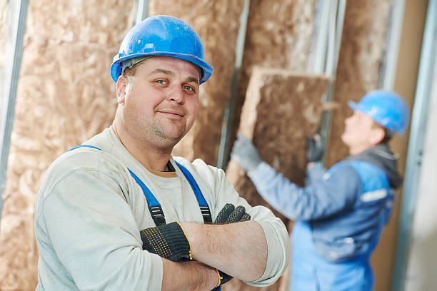 Best Cellulose Insulation in Hillsboro, ND