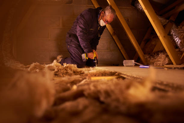 Best Geographic-Specific Insulation Services in Hillsboro, ND