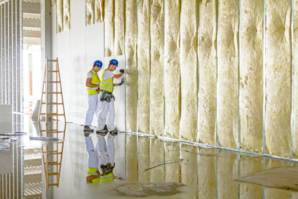 Types of Insulation We Offer in Hillsboro, ND
